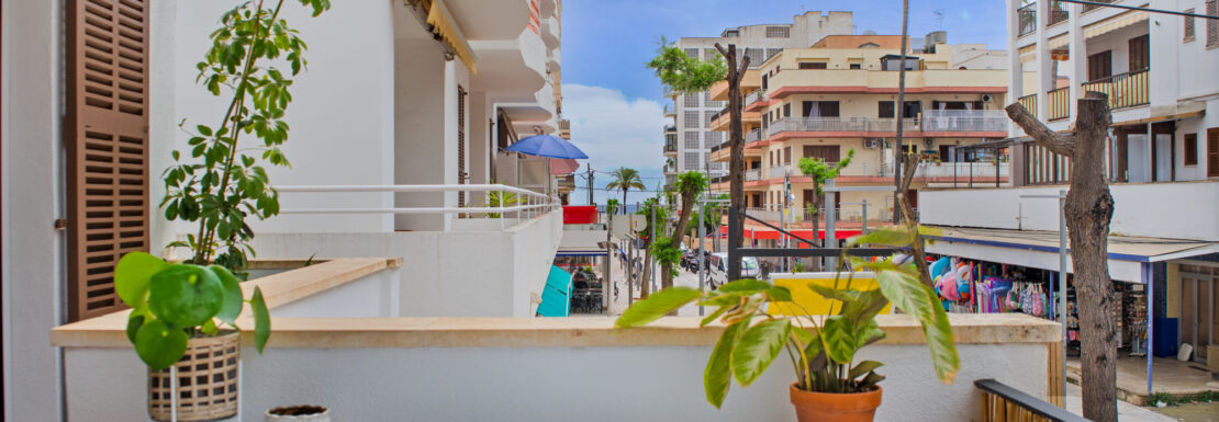 Terraza