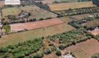 Grundstück Santa Margalida