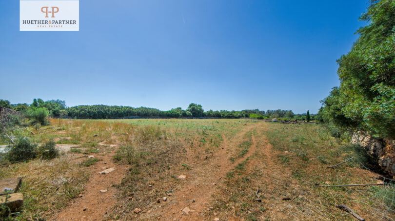 Grundstück Santa Margalida