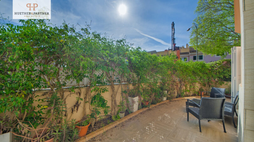 Terraza