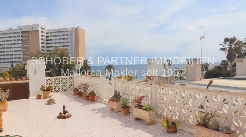 Dachterrasse - Azotea