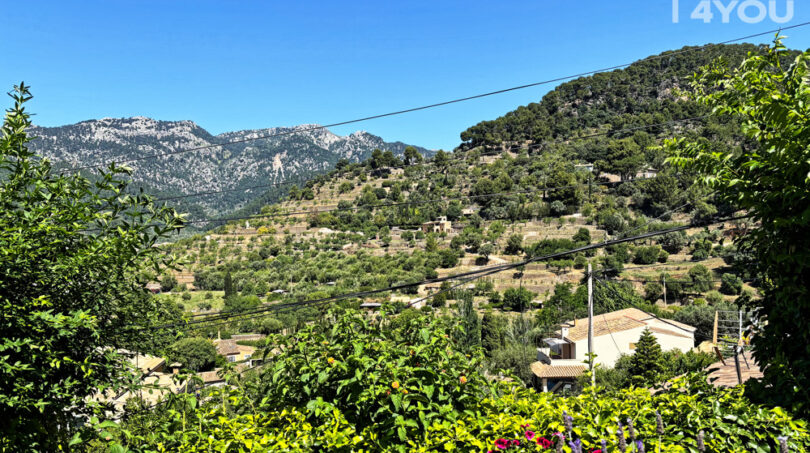 Outlook