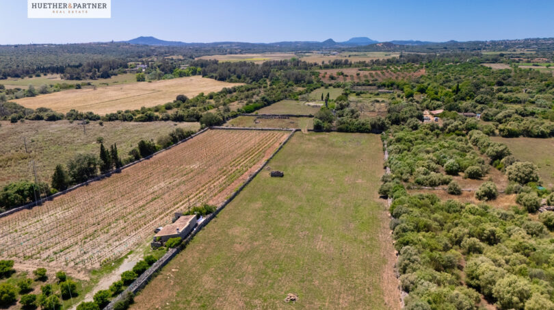 Grundstück Santa Margalida