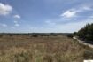Finca zum Verkauf: bewilligtes Bauprojekt mit 400m² Wfl.