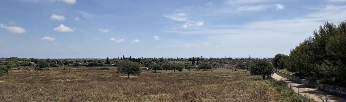 Bild zum Objekt: Finca zum Verkauf: bewilligtes Bauprojekt mit 400m² Wfl.