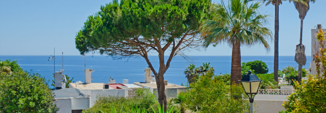 DSC_0927-Editar