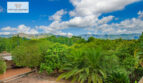 Outlook
