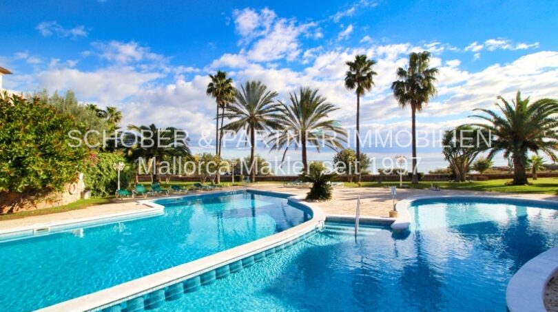 Spacious outdoor pool with palm trees and sea view of the exclusive residential complex in Son Servera, Mallorca