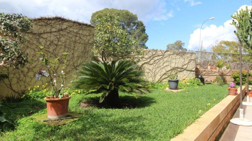 Jardín