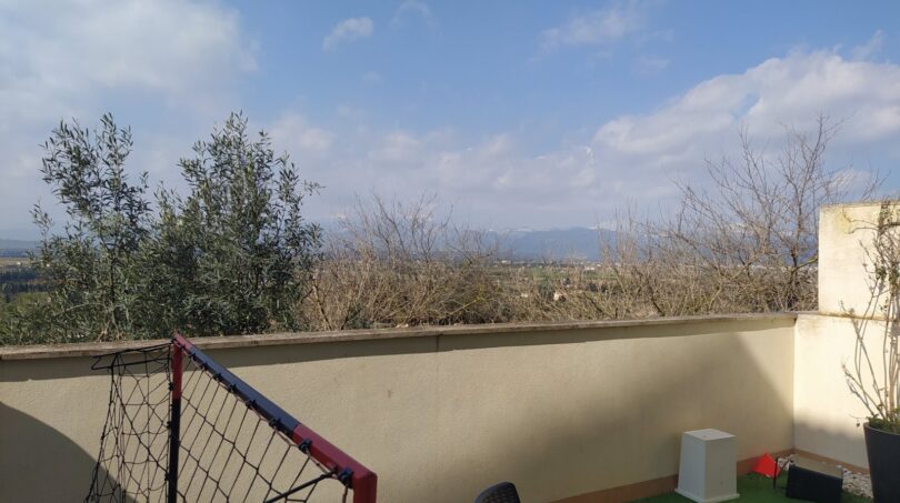 Terraza