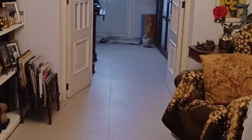 Entrance area