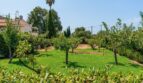 Jardín