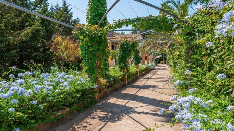 Jardín