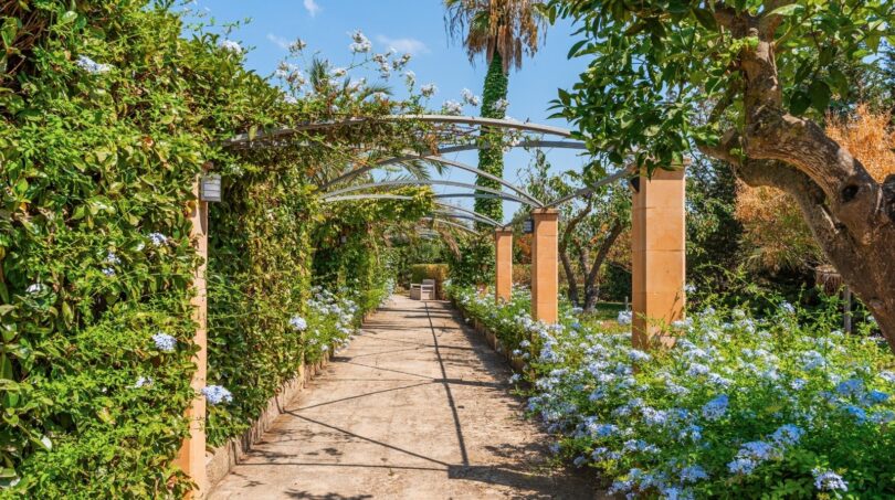 Jardín