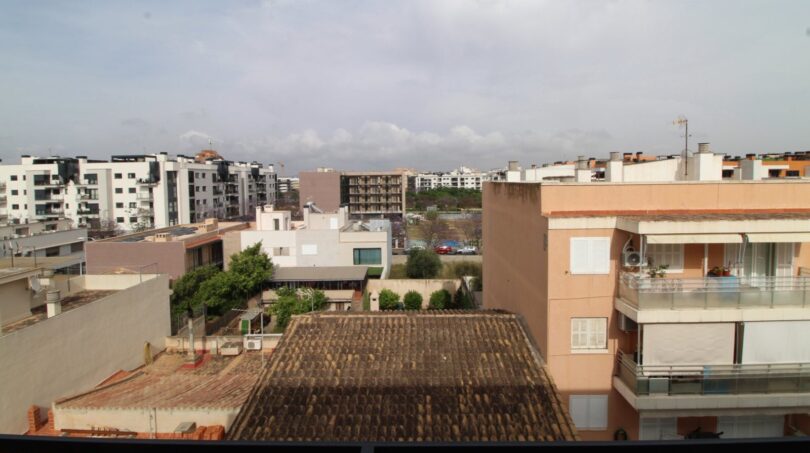 Vista desde la terraza