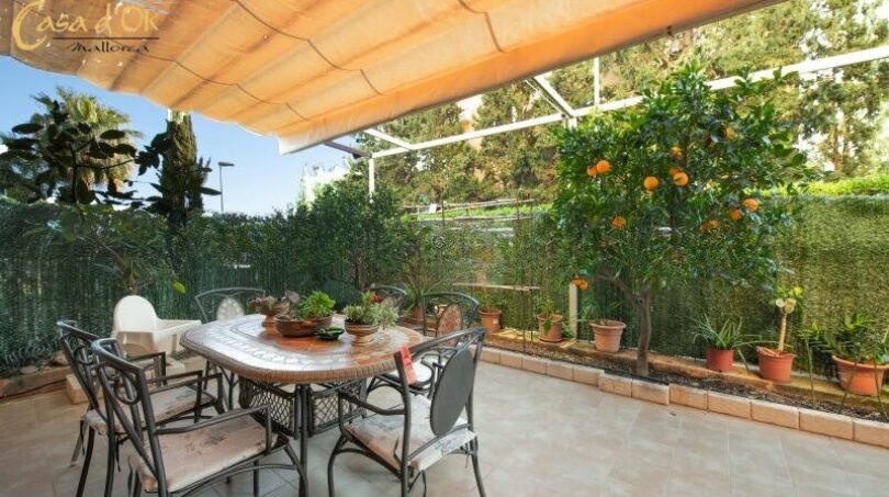 Terraza    