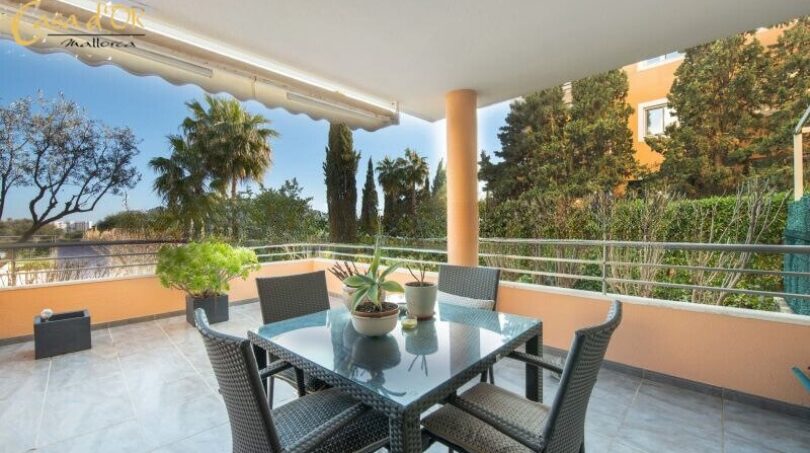 Terraza  
