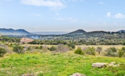 Finca with sea views in Son Servera