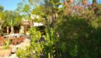Jardín
