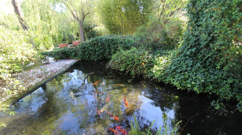 Gartenteich