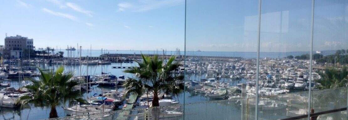 Apartment Portixol ()