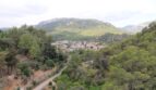 Fermblick