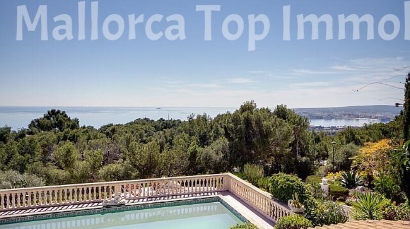 Pool mit Meerblick
