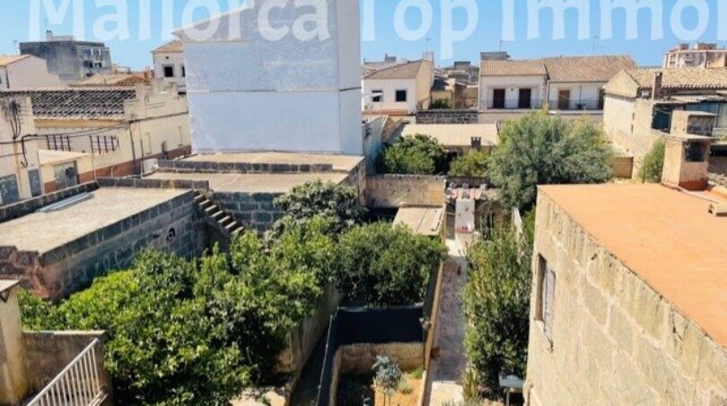 Vista desde la terraza