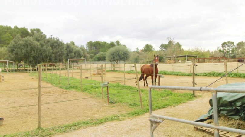 Finca mit Gästehaus ()