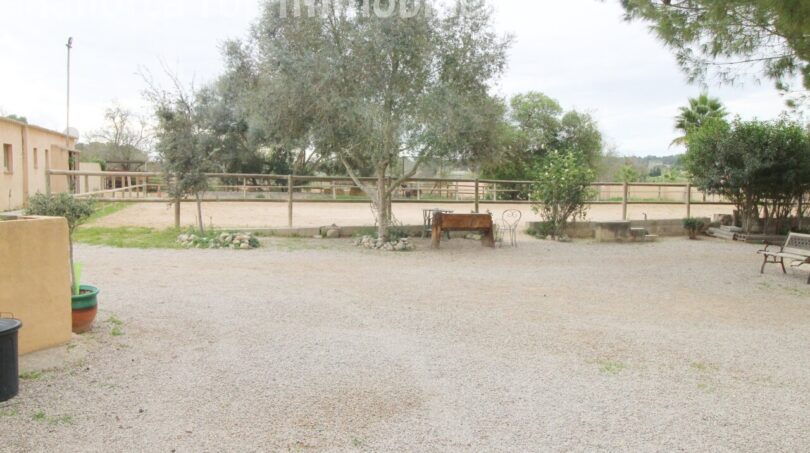 Finca mit Gästehaus ()