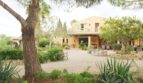 Finca mit Gästehaus ()
