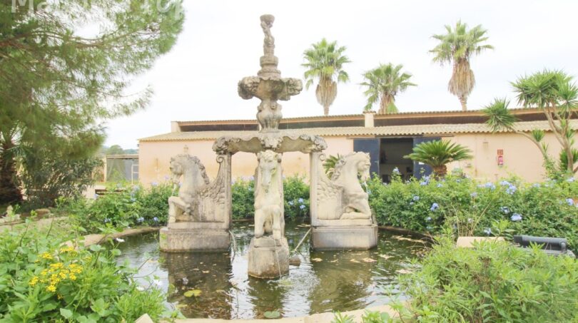 Finca mit Gästehaus ()