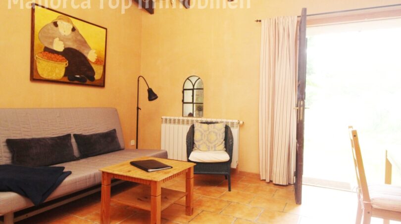 Finca mit Gästehaus ()