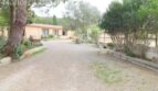 Finca mit Gästehaus ()