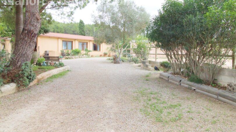 Finca mit Gästehaus ()