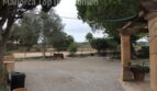 Finca mit Gästehaus ()