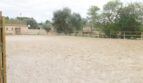 Finca mit Gästehaus ()