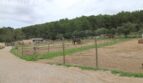 Finca mit Gästehaus ()