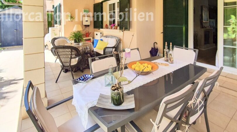 terraza trasera