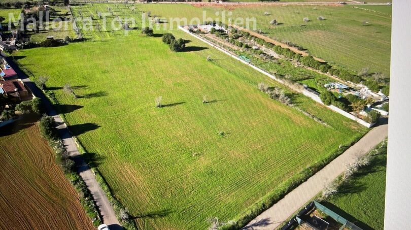 Baugrundstück in Llucmajor