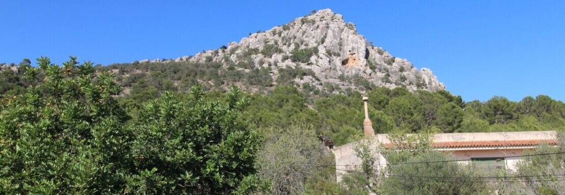 Comprar finca en Llucmajor