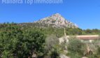 Finca in Llucmajor kaufen