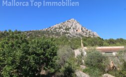 Finca, eingebettet in die Natur mit Blick auf den Hexenberg