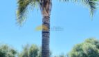 Finca in Son Gual