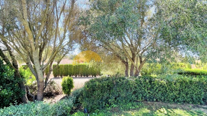 Finca in Son Gual