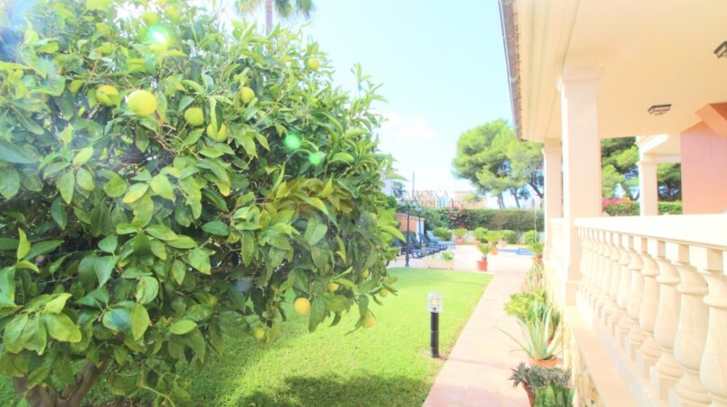 Garten