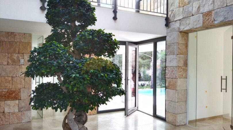 Lichtdurchflutetes Foyer der Neubau-Villa in Sol de Mallorca mit imposantem Innenbaum und Natursteinwänden