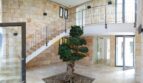 Imposantes Eingangsfoyer der Neubau Villa mit Natursteinwänden, geschwungener Treppe und dekorativem Bonsai-Baum.