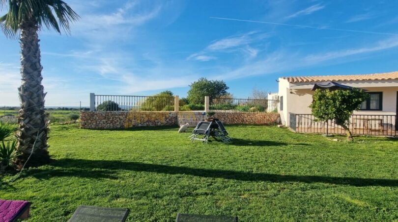Gepflegter Garten der Finca in Felanitx mit Palme, grünem Rasen und weißem Landhaus unter blauem Himmel.