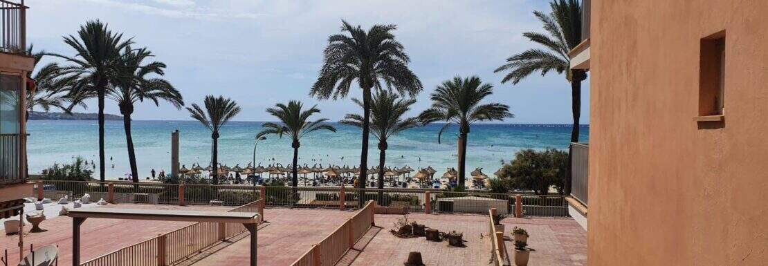 Vista desde la terraza